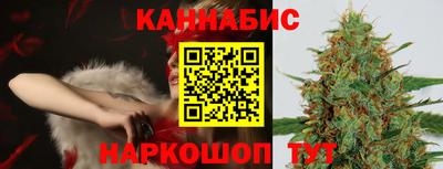 молекула духа Партизанск